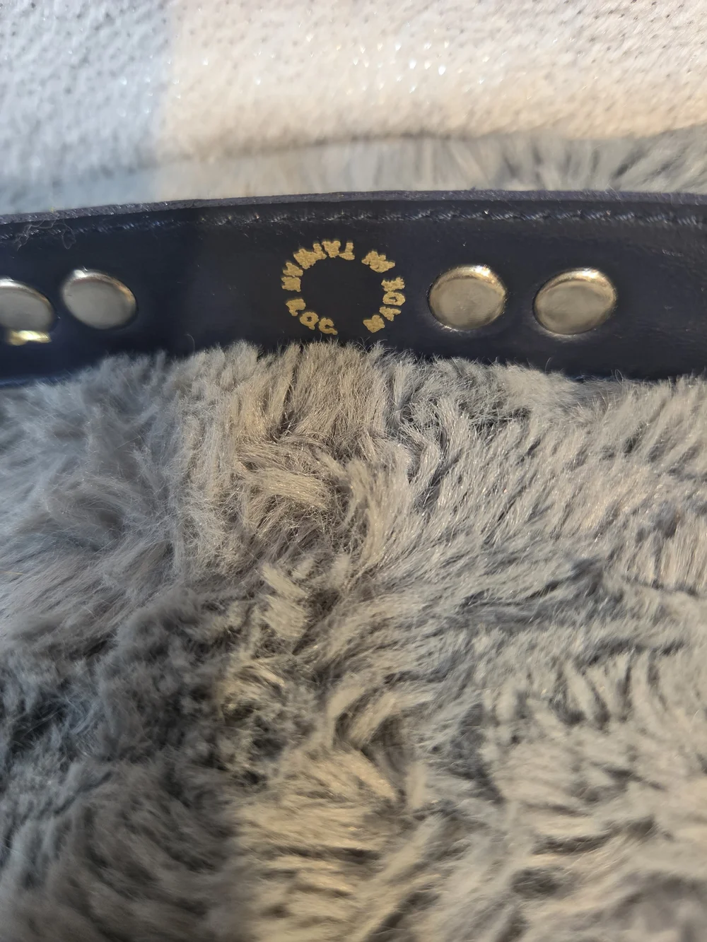 Lee Sands Snake Skin Blue  Leather Western Belt with Decorative Silver Buckle